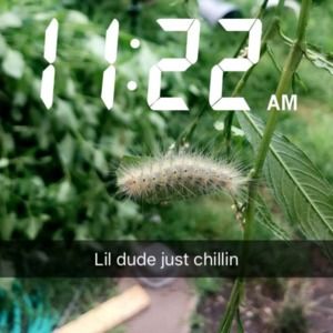 Meet your Posher, Audrey